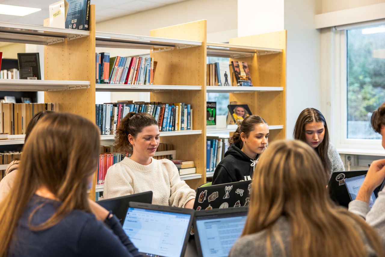 Elevar i samarbeid på biblioteket